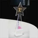 Premios libres realizados en acrílico